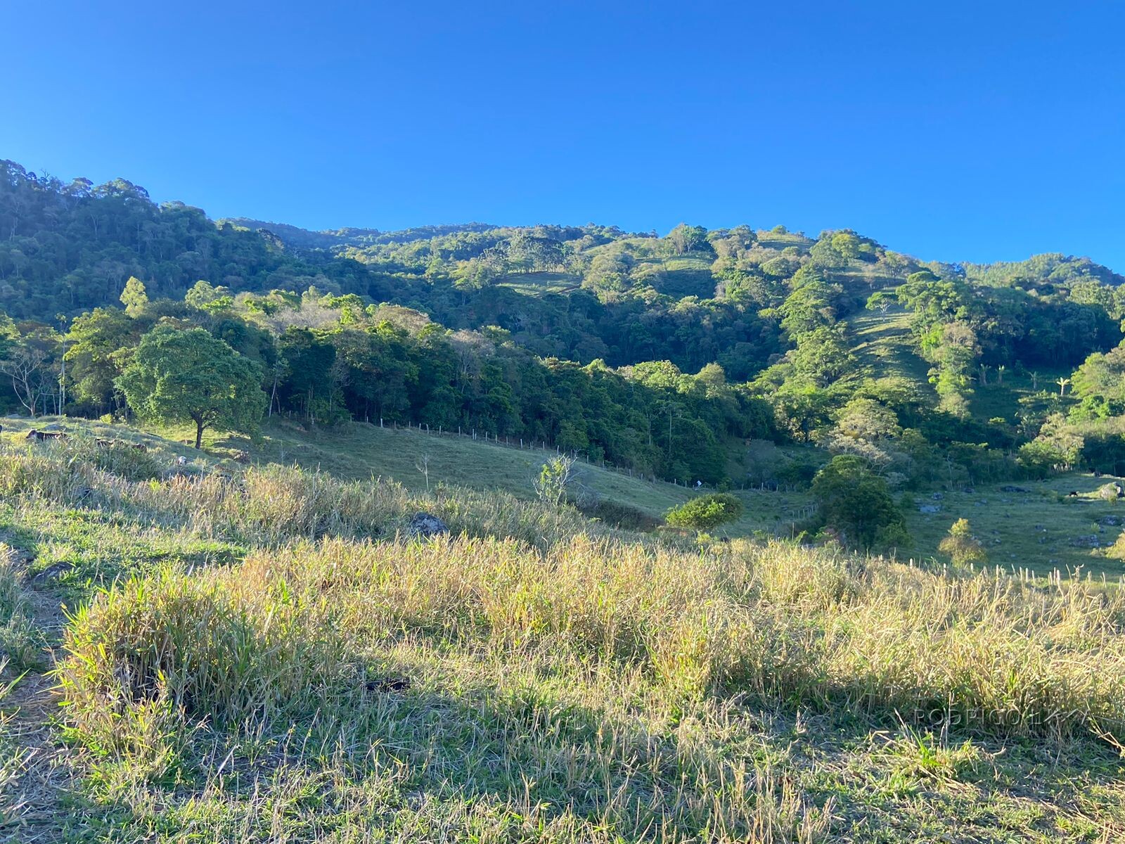 Linda área rural para venda em Dom Viçoso MG.