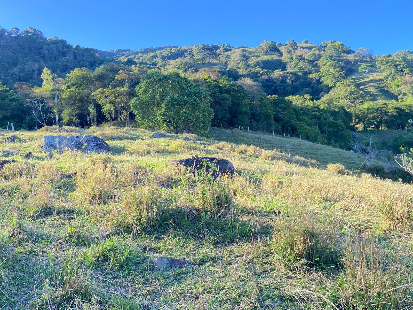 Linda área rural para venda em Dom Viçoso MG.