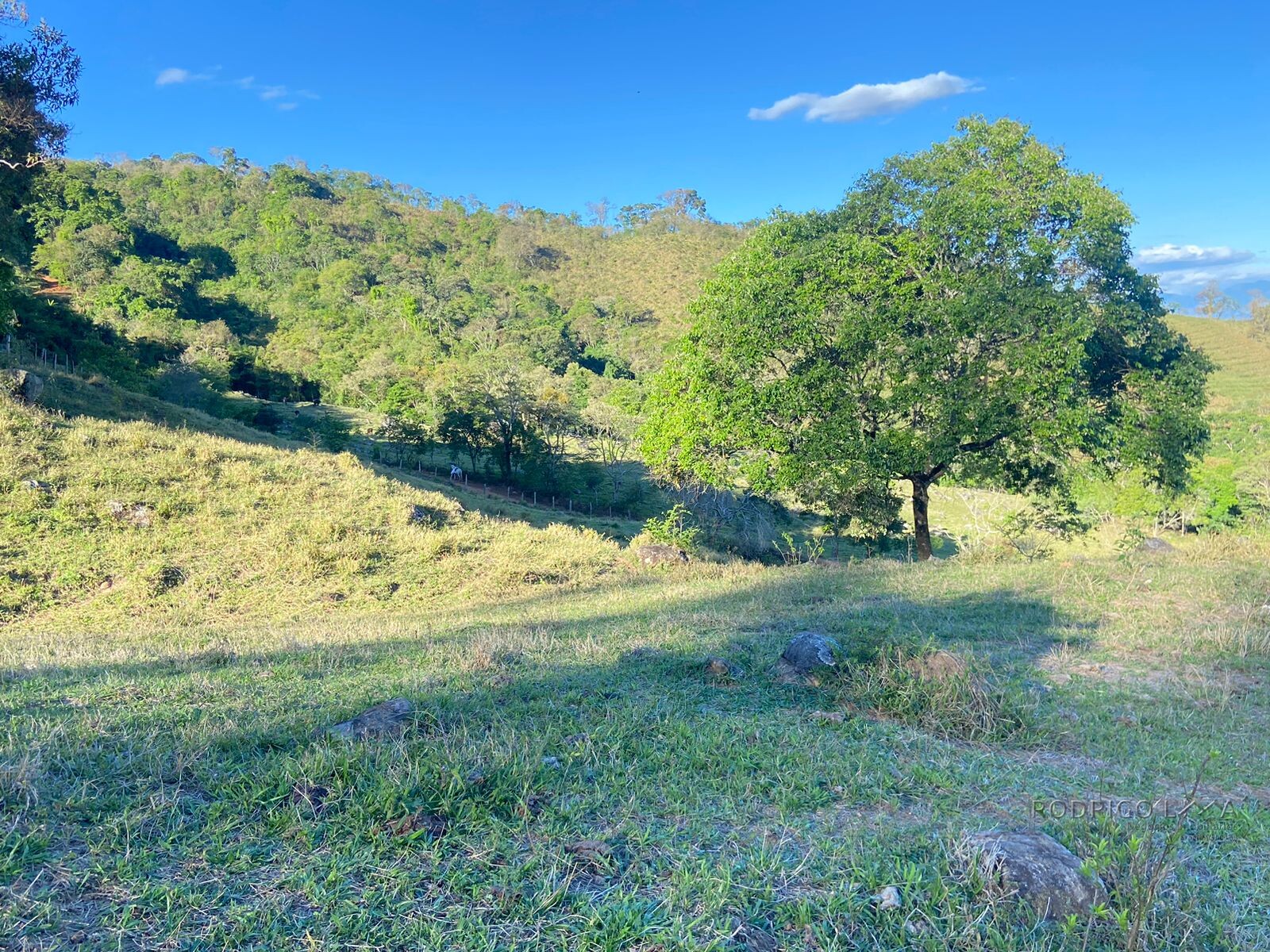 Linda área rural para venda em Dom Viçoso MG.