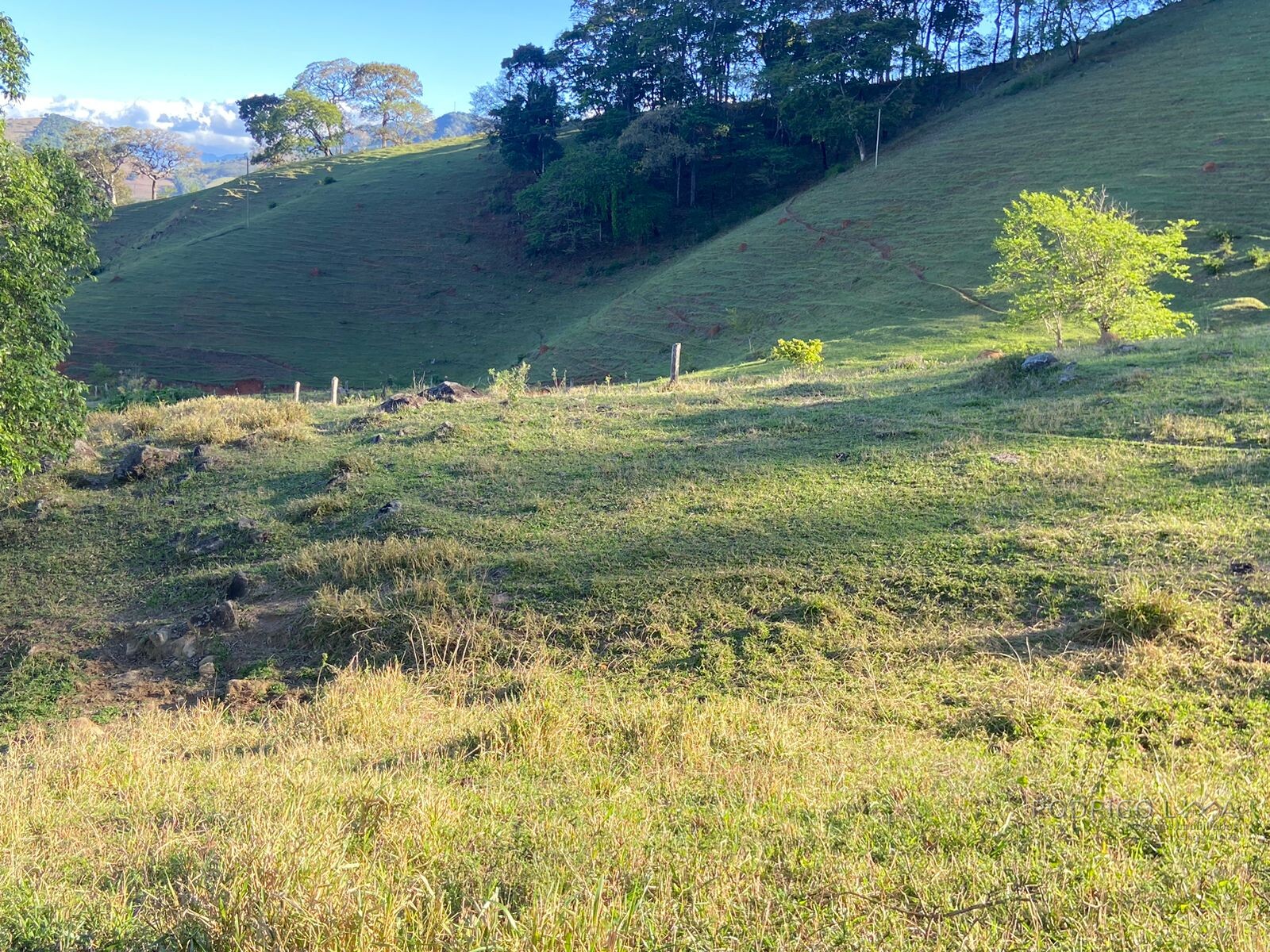 Linda área rural para venda em Dom Viçoso MG.