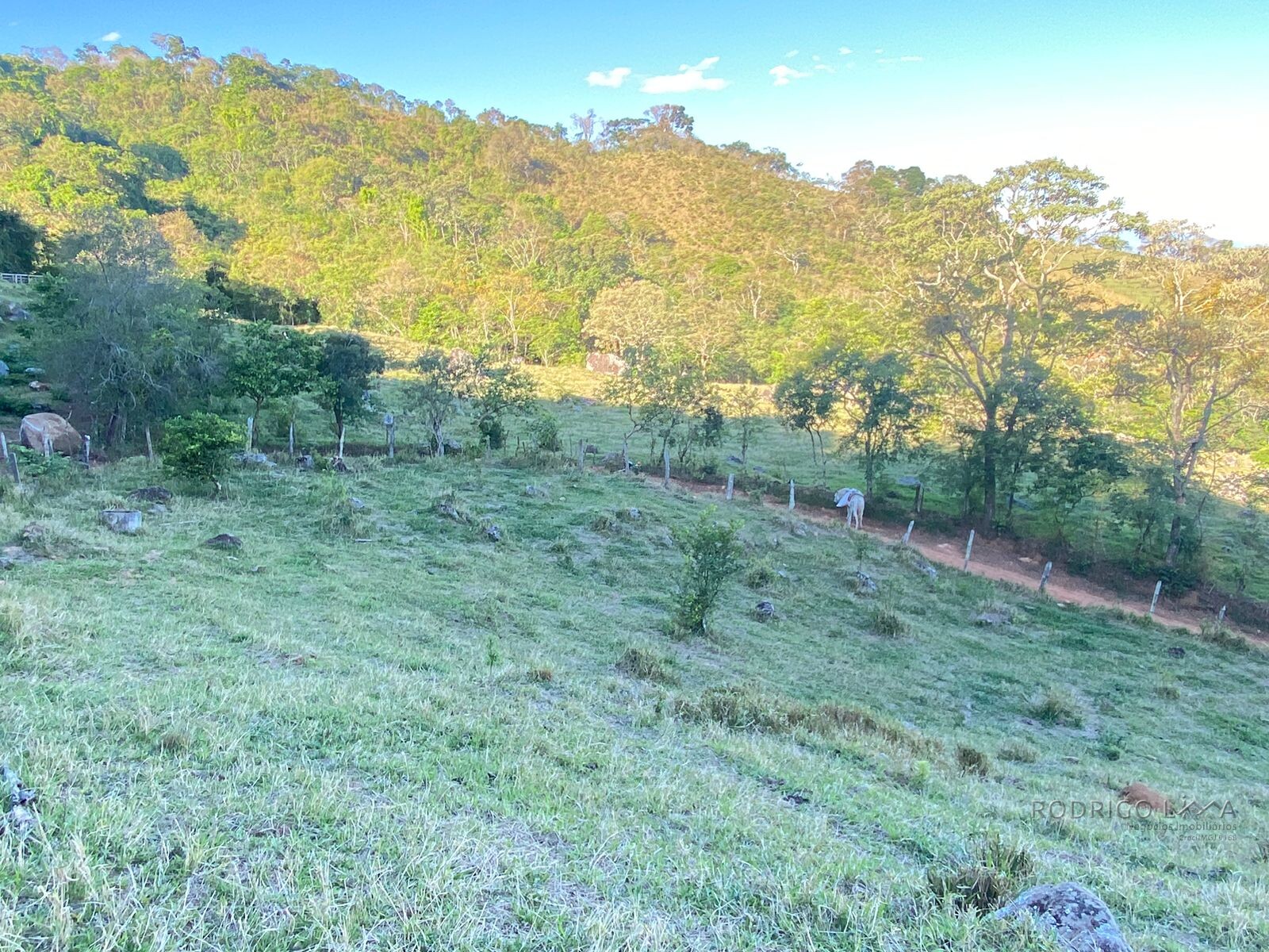 Linda área rural para venda em Dom Viçoso MG.