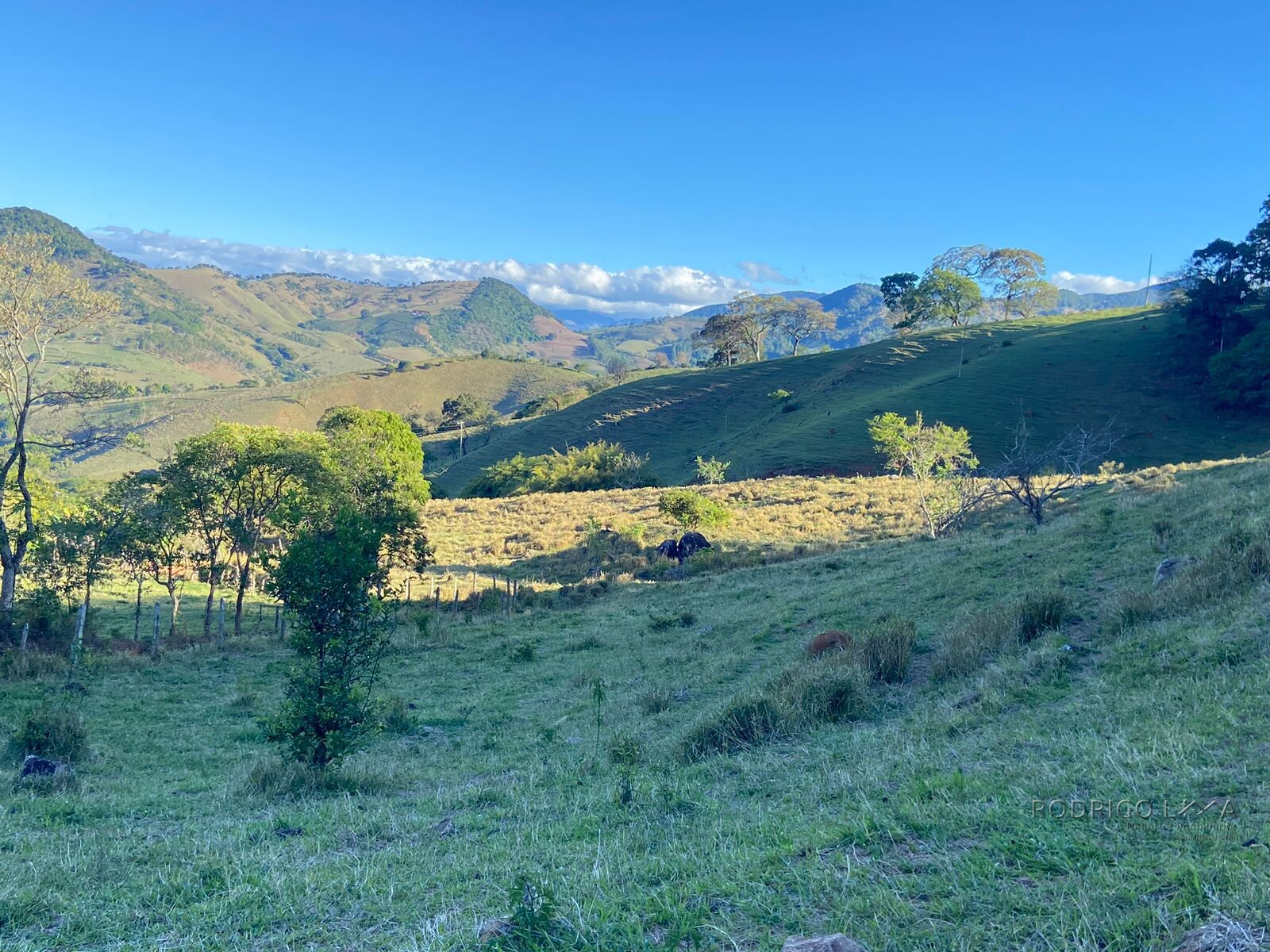 Linda área rural para venda em Dom Viçoso MG.