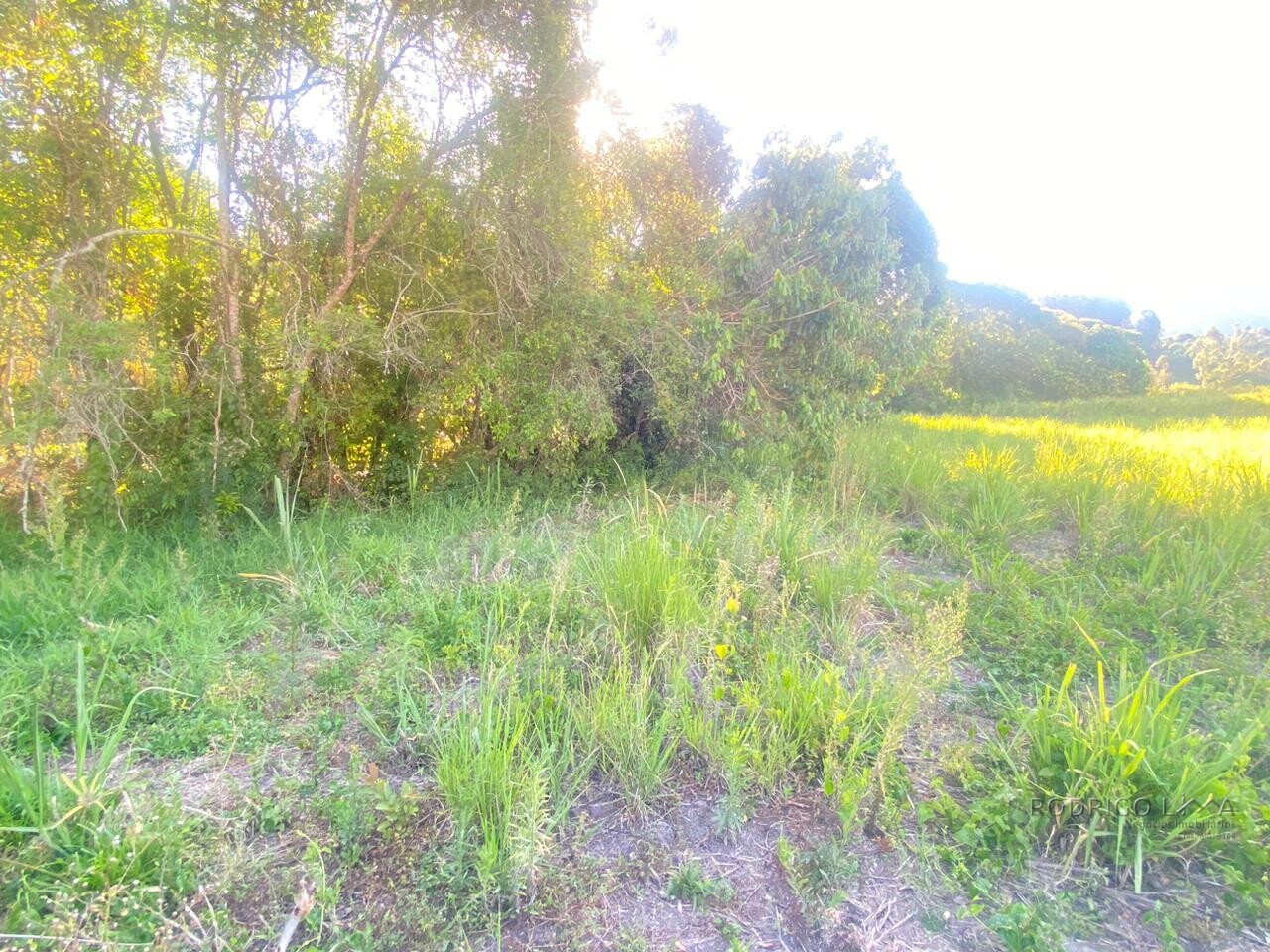 Área rural para venda próximo a São Lourenço MG.