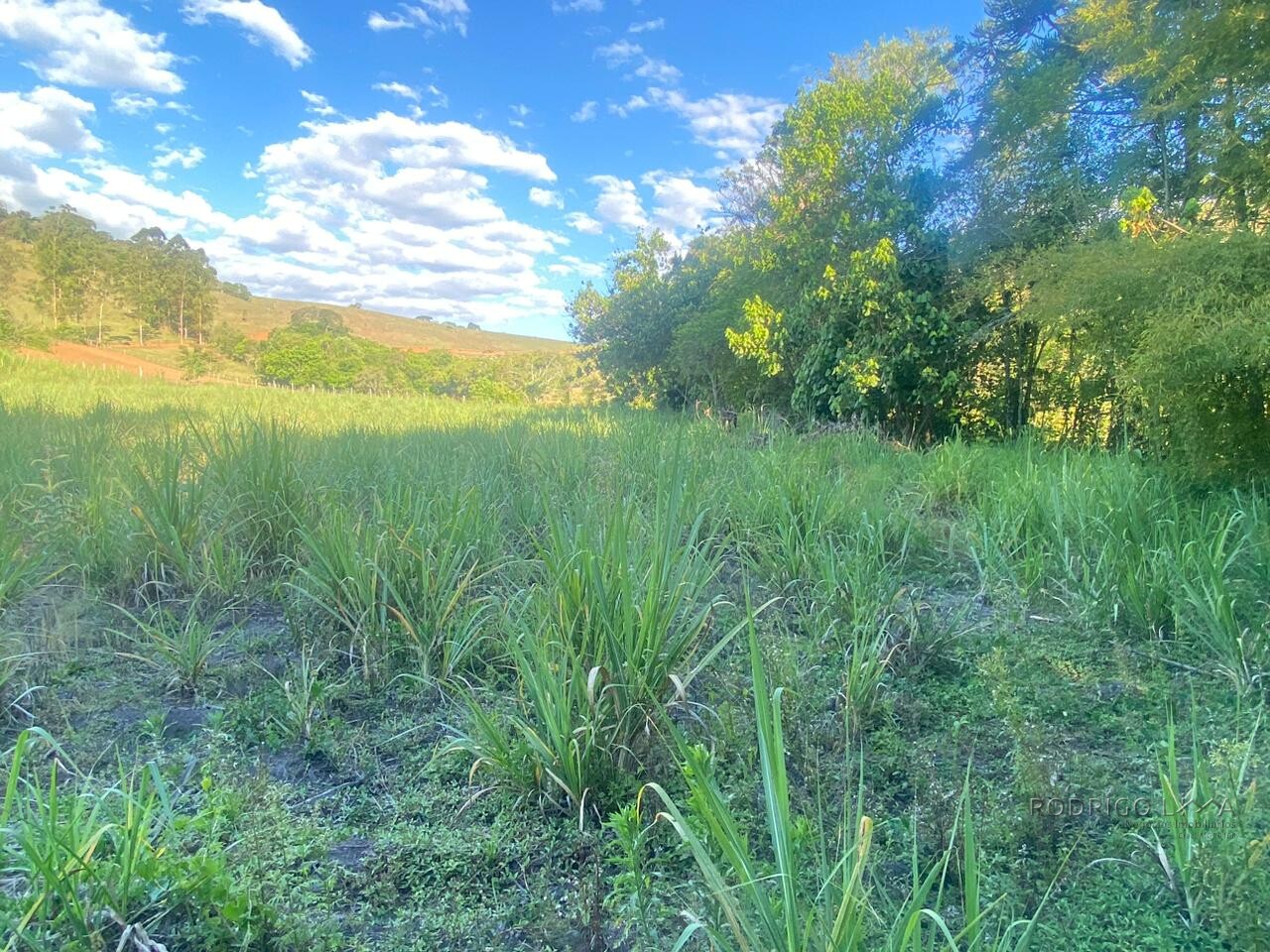 Área rural para venda próximo a São Lourenço MG.