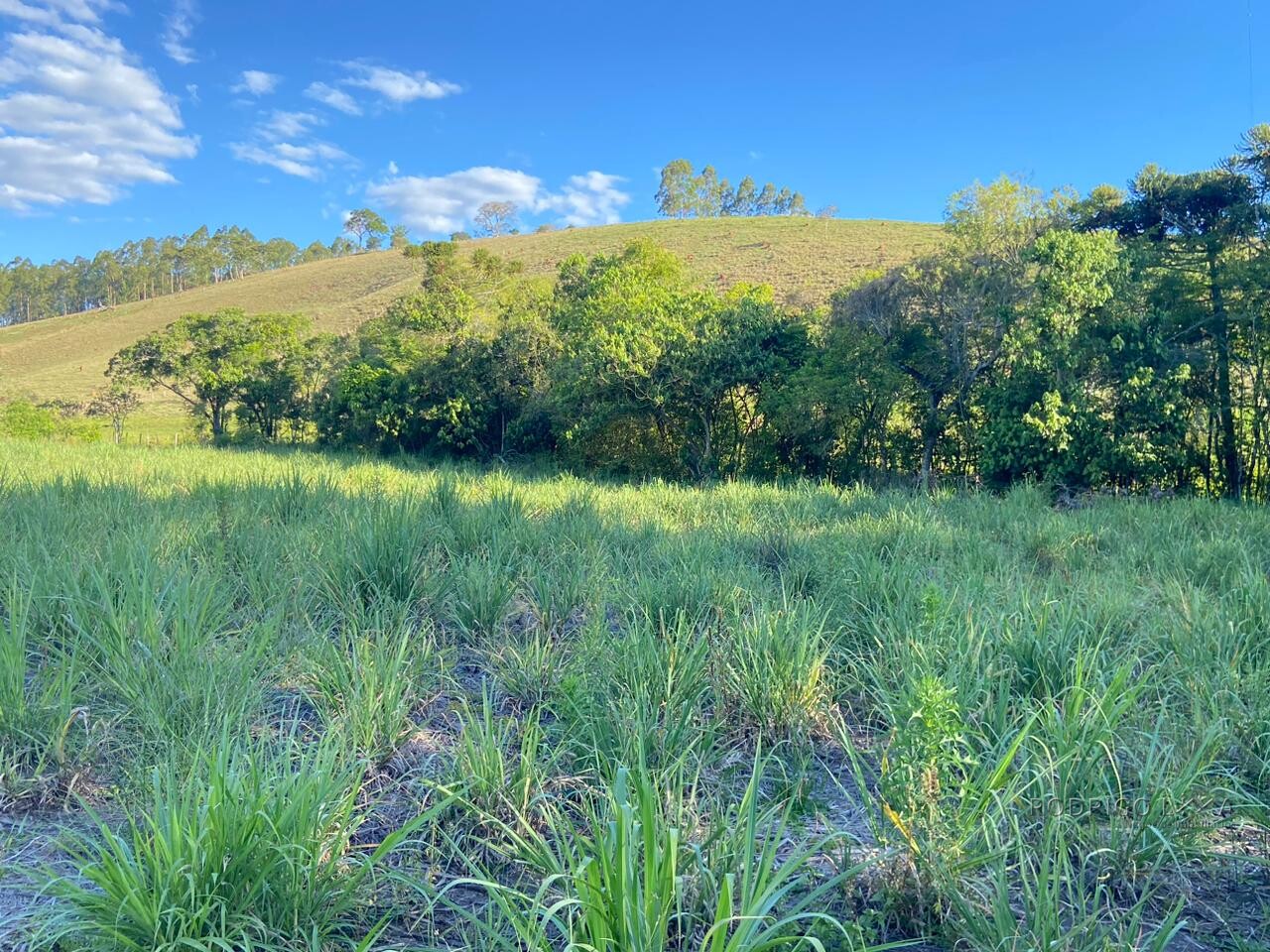Área rural para venda próximo a São Lourenço MG.