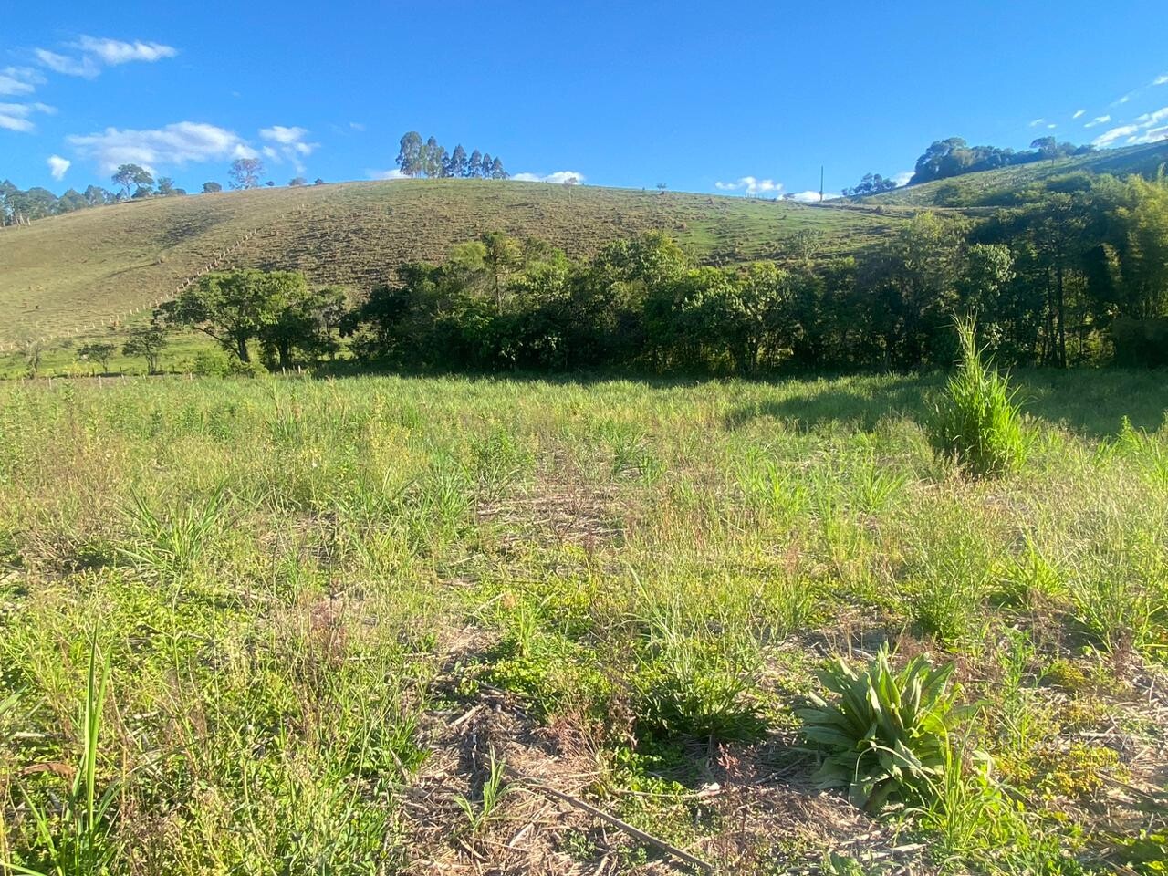 Área rural para venda próximo a São Lourenço MG.