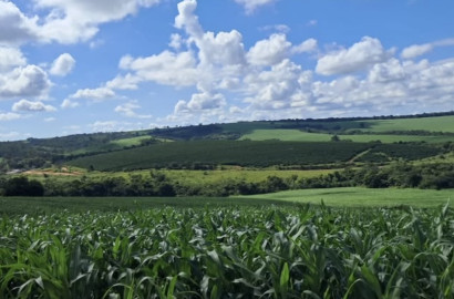 Espetacular fazenda para venda Cristais - MG.