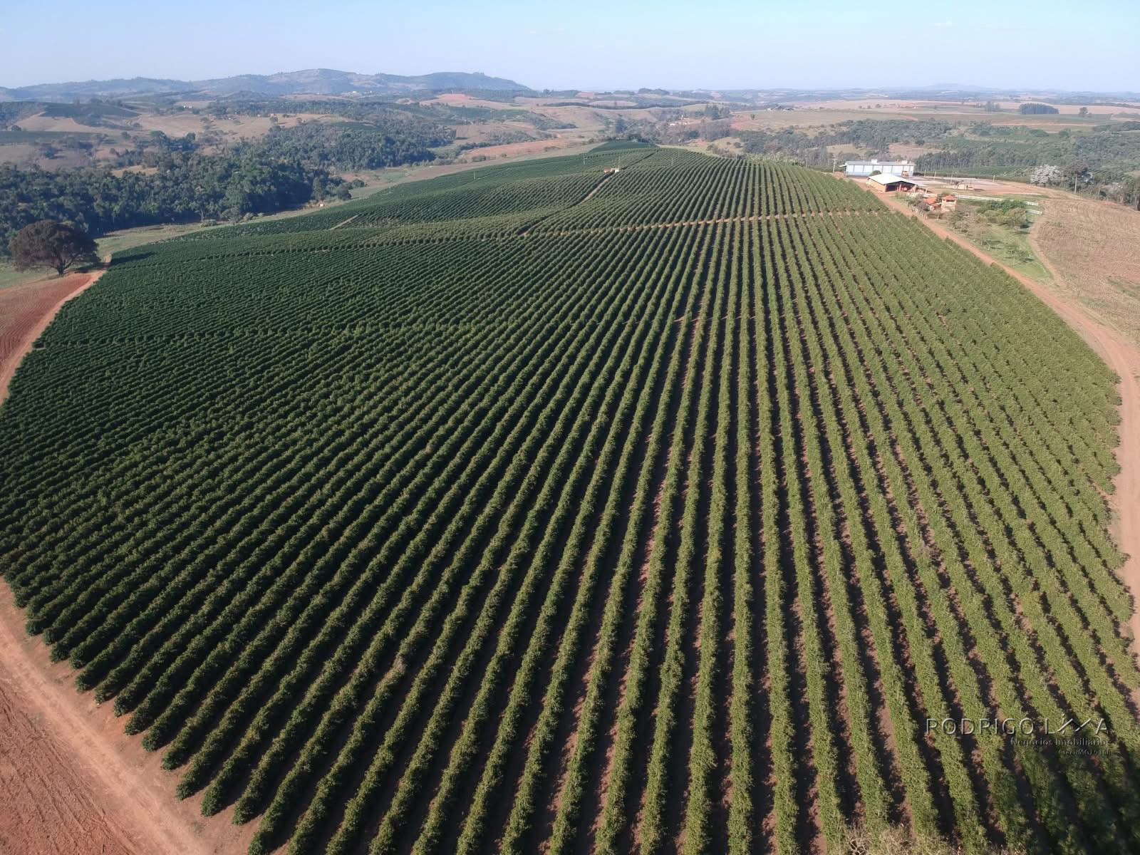 Linda fazenda para venda em Três Corações - MG