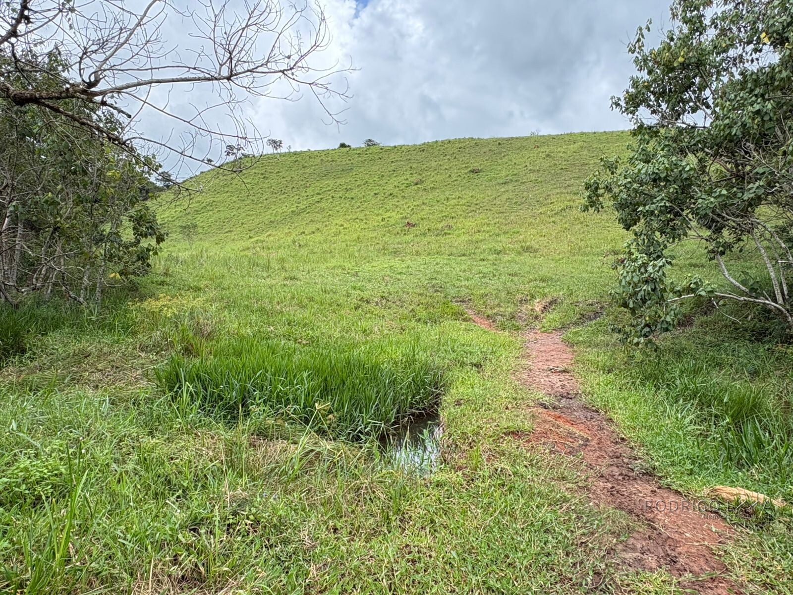 Área rural para venda em Dom Viçoso MG