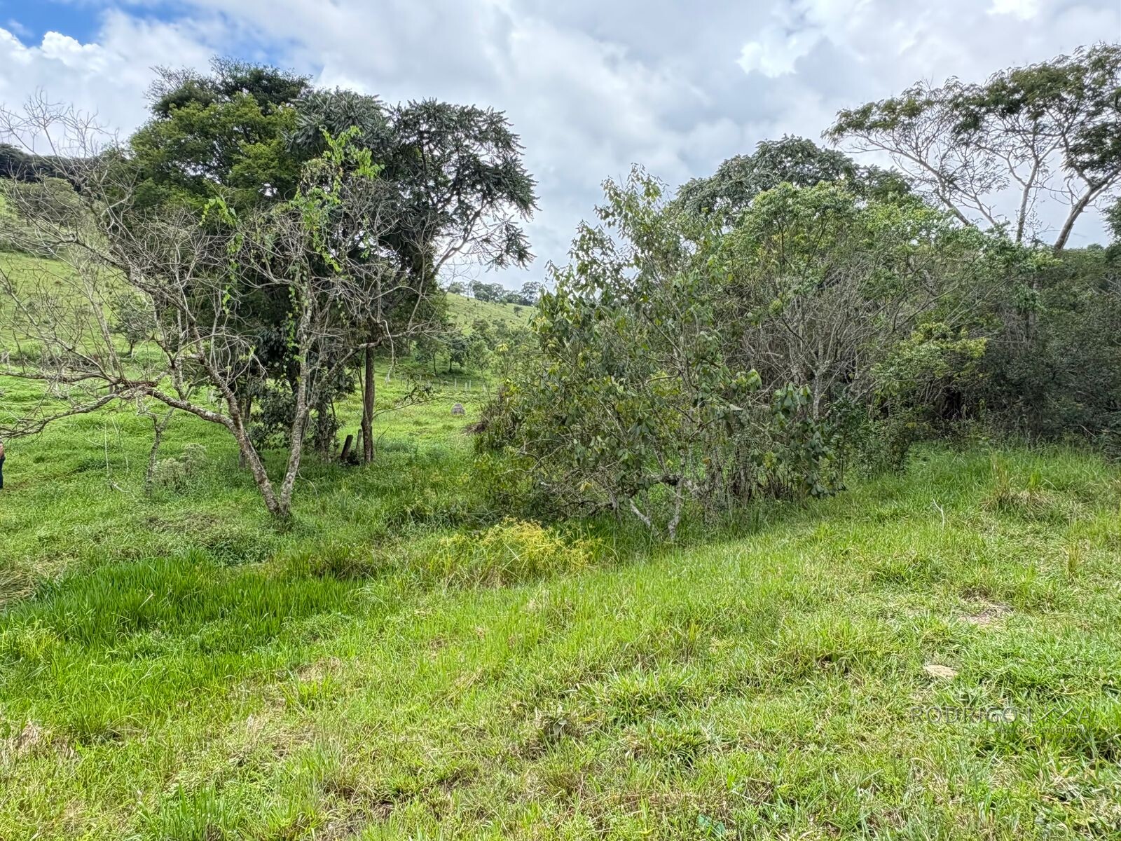 Área rural para venda em Dom Viçoso MG