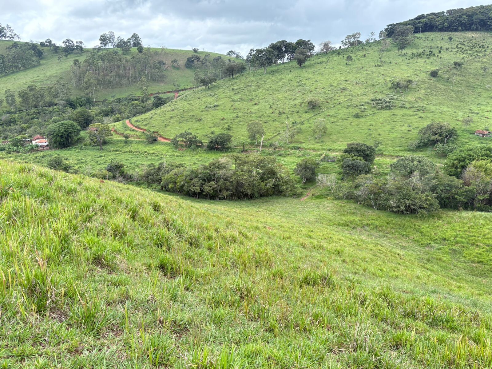 Área rural para venda em Dom Viçoso MG