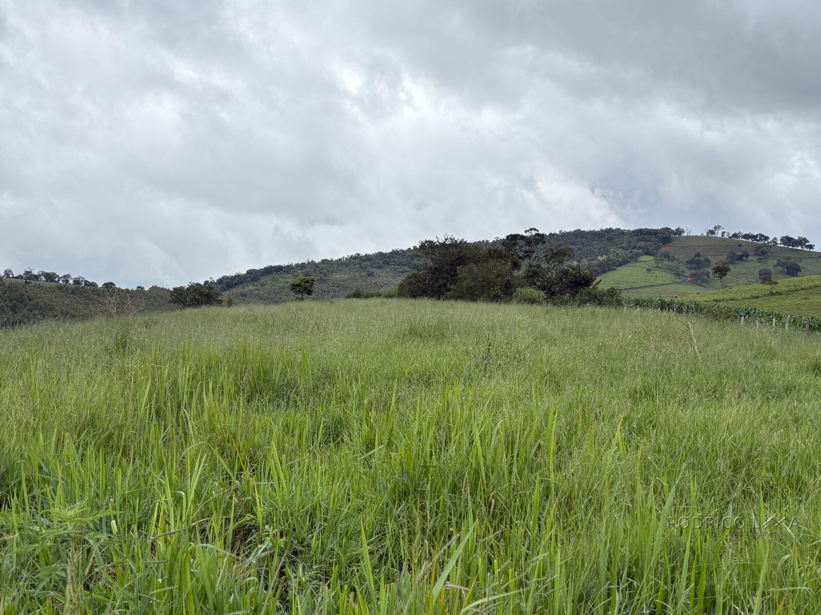 Área rural para venda em Dom Viçoso MG