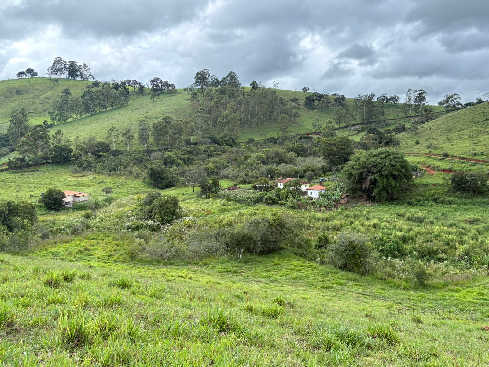 Área rural para venda em Dom Viçoso MG