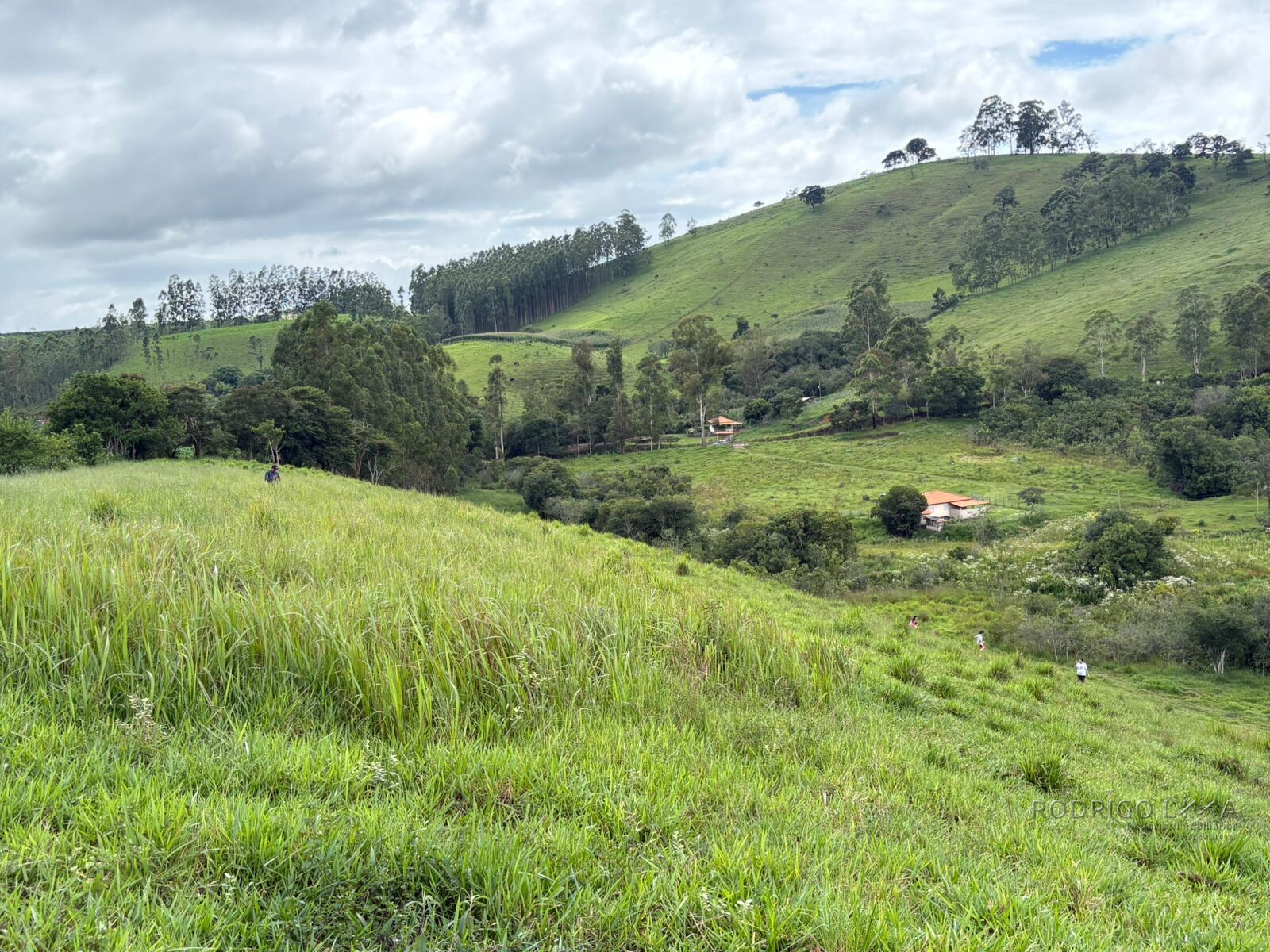 Área rural para venda em Dom Viçoso MG
