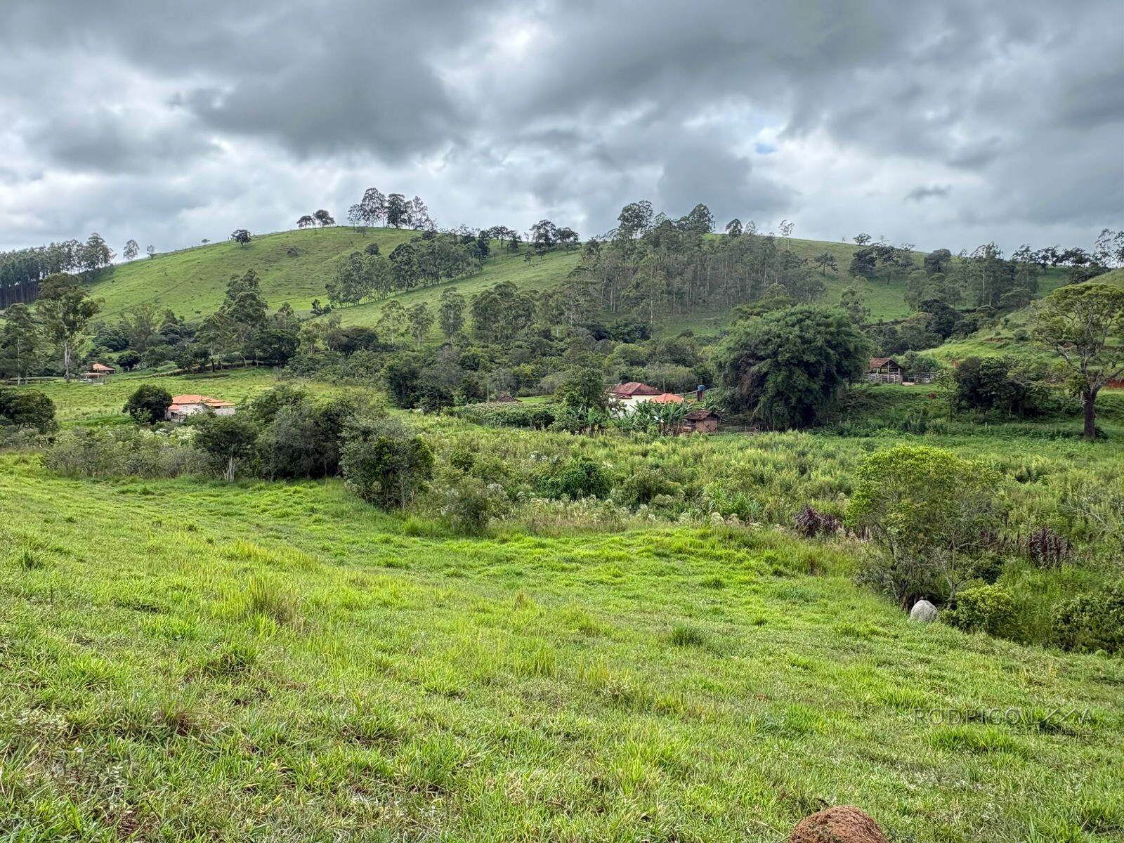 Área rural para venda em Dom Viçoso MG