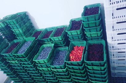 Fazenda para venda em Carvalhos MG