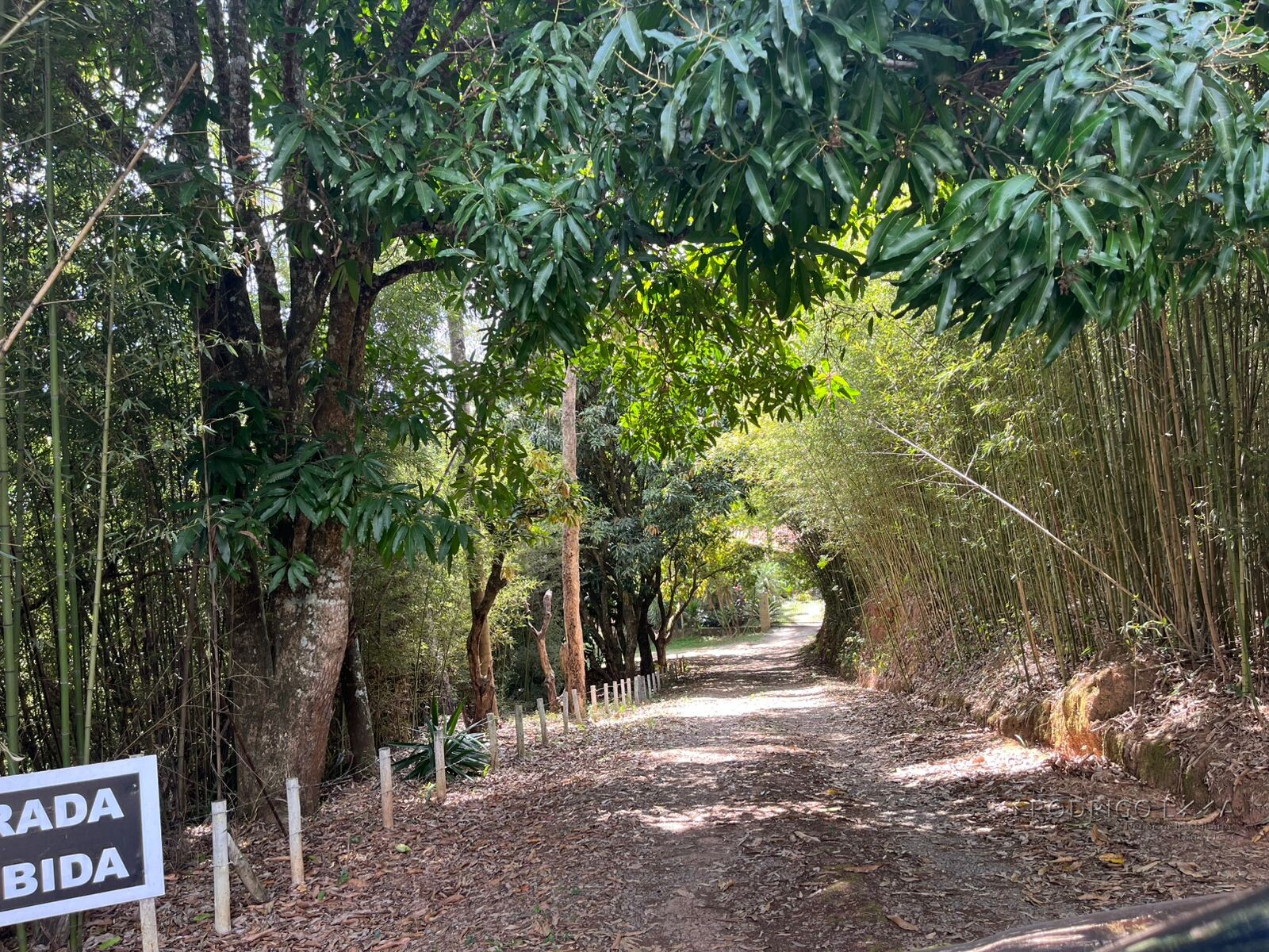 Linda chácara para venda em São Lourenço MG.