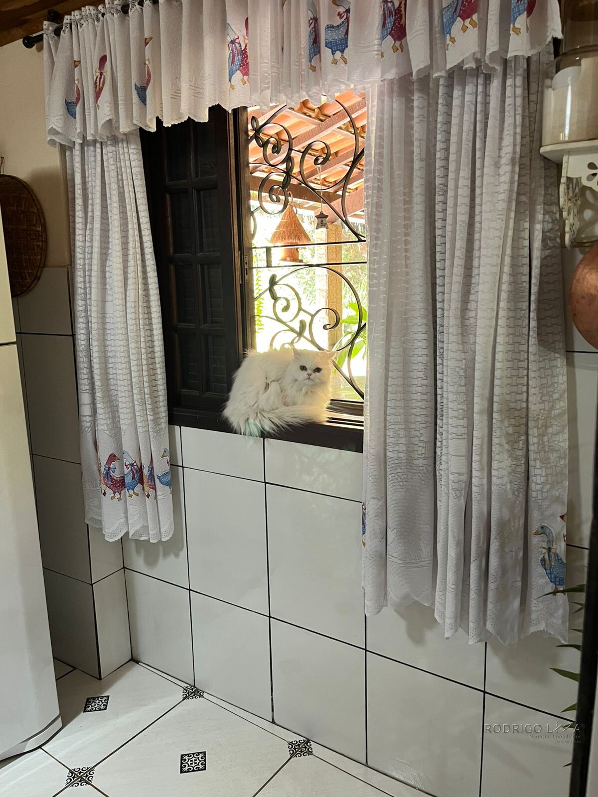 Linda chácara para venda em São Lourenço MG.