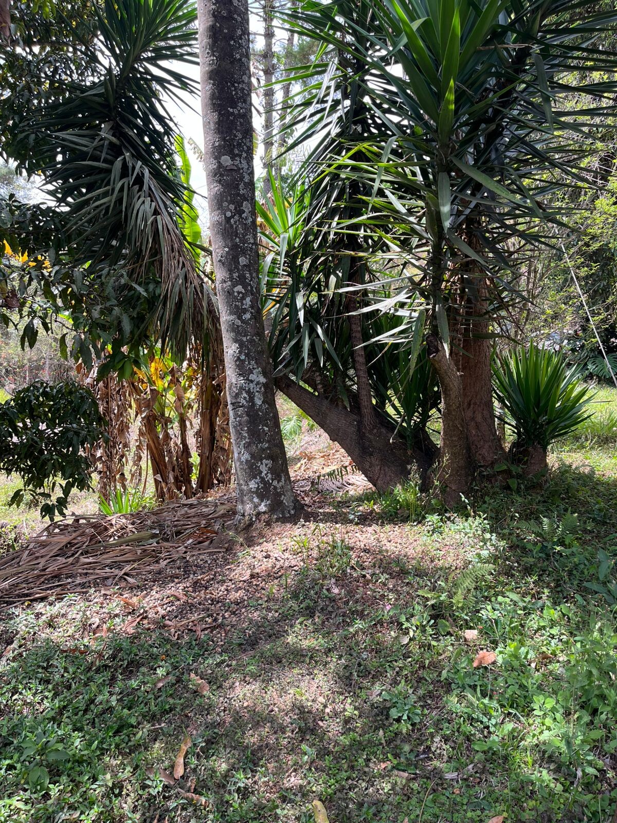 Linda chácara para venda em São Lourenço MG.
