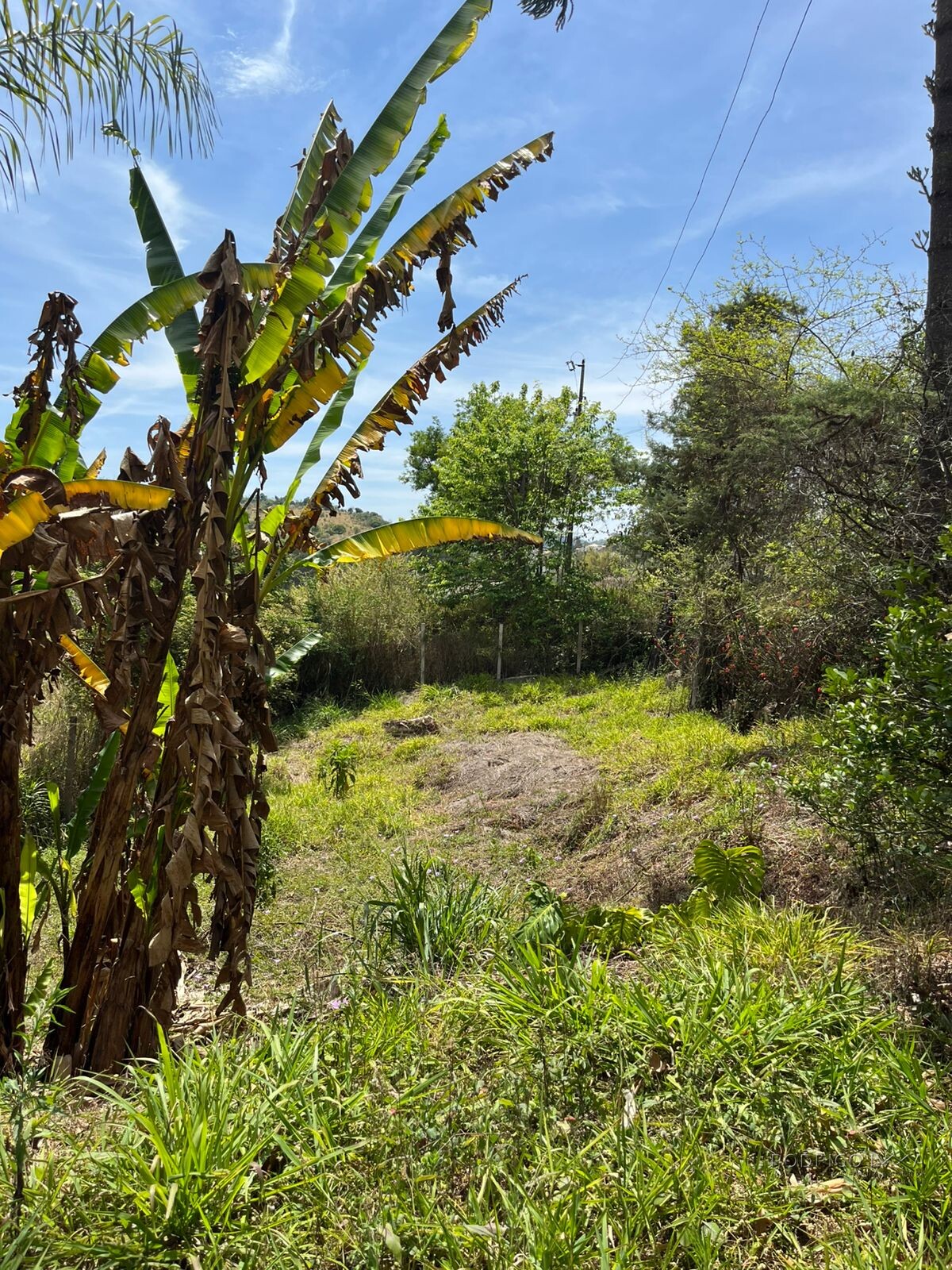 Linda chácara para venda em São Lourenço MG.