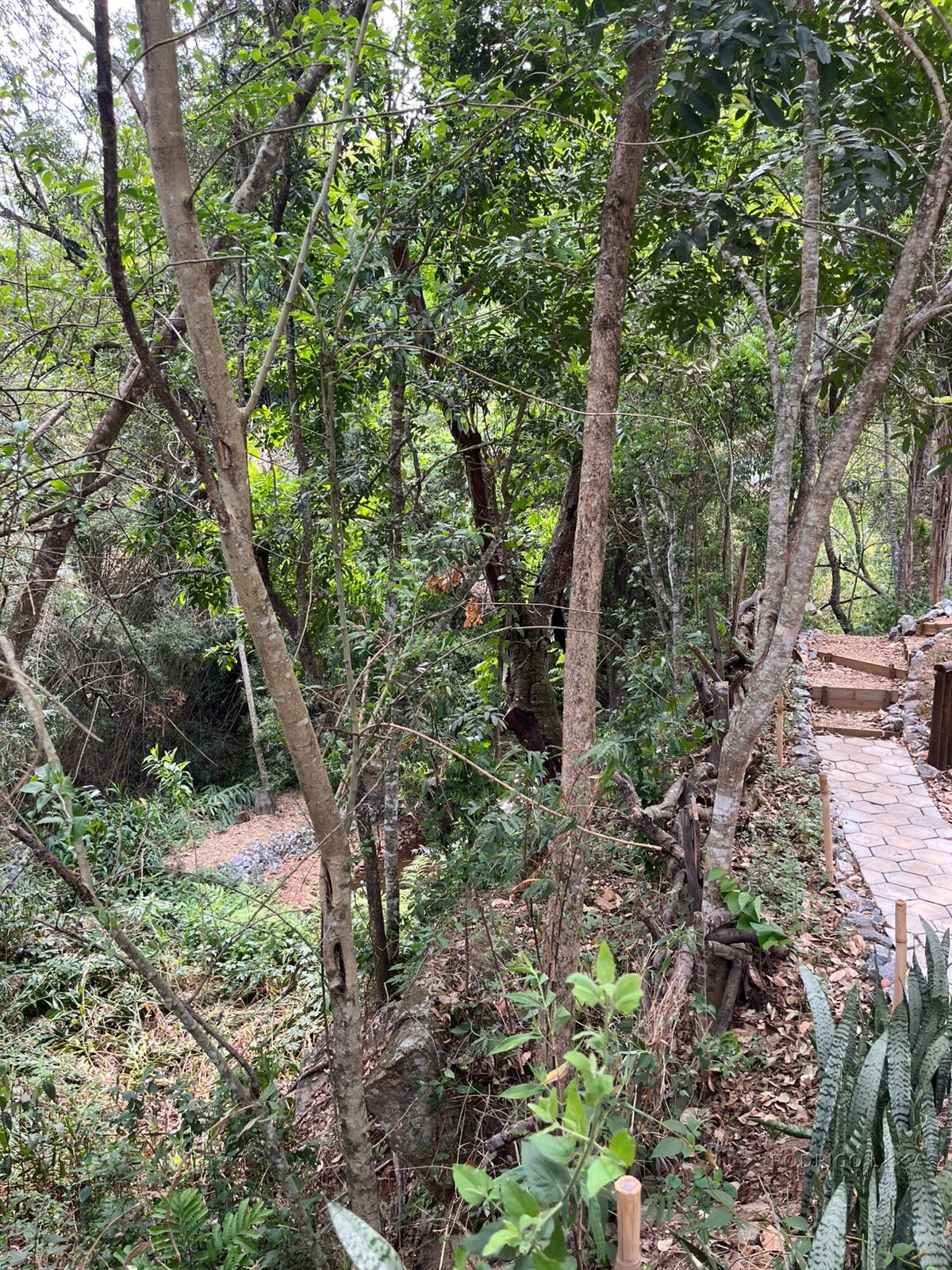 Linda pousada para venda em São Lourenço MG.