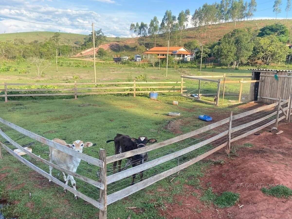 Lindo Sitio para venda próximo a São Lourenço - MG
