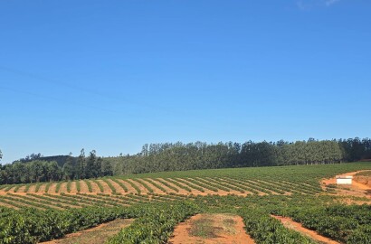 Fazenda para venda na região de Capelinha MG