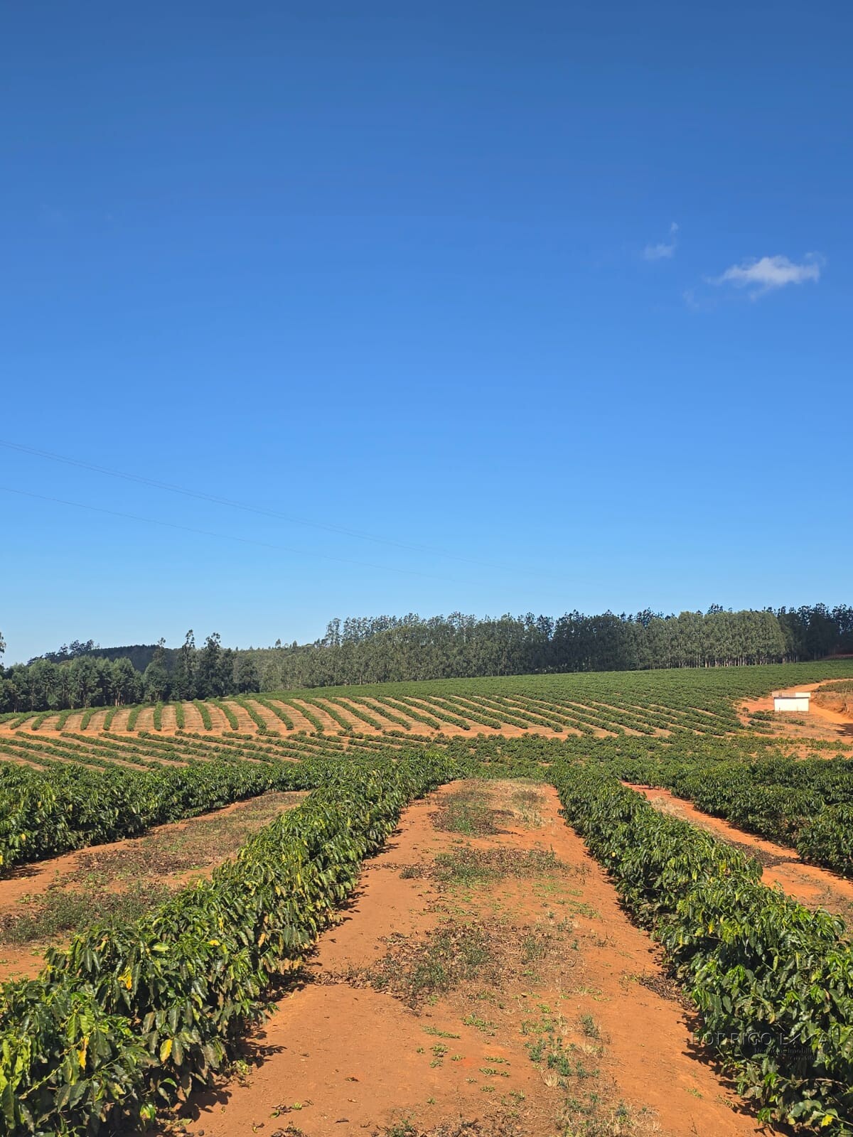 Fazenda para venda na região de Capelinha MG