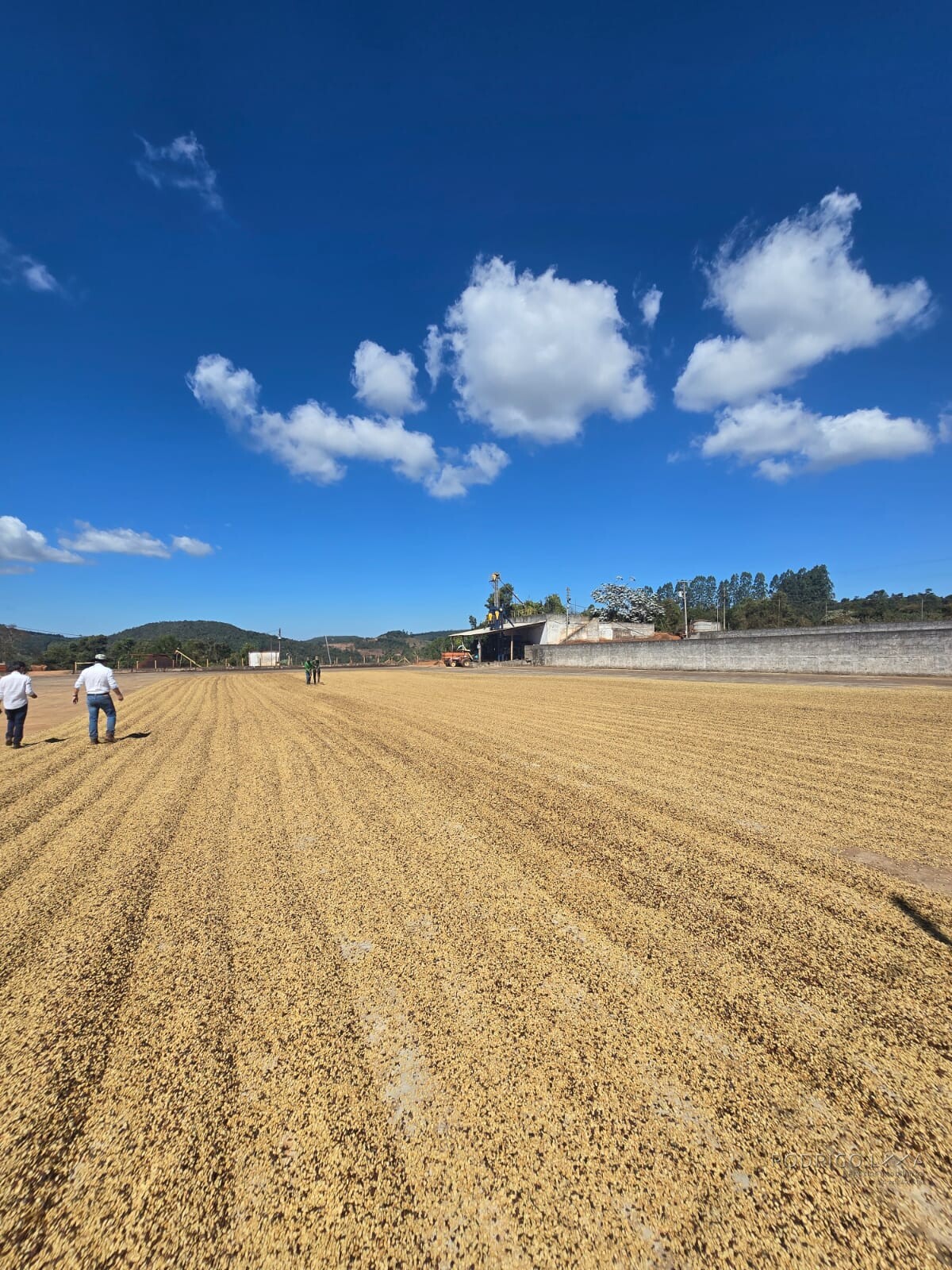 Fazenda para venda na região de Capelinha MG