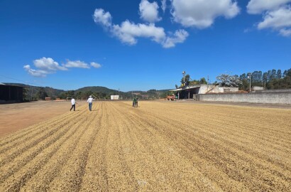 Fazenda para venda na região de Capelinha MG