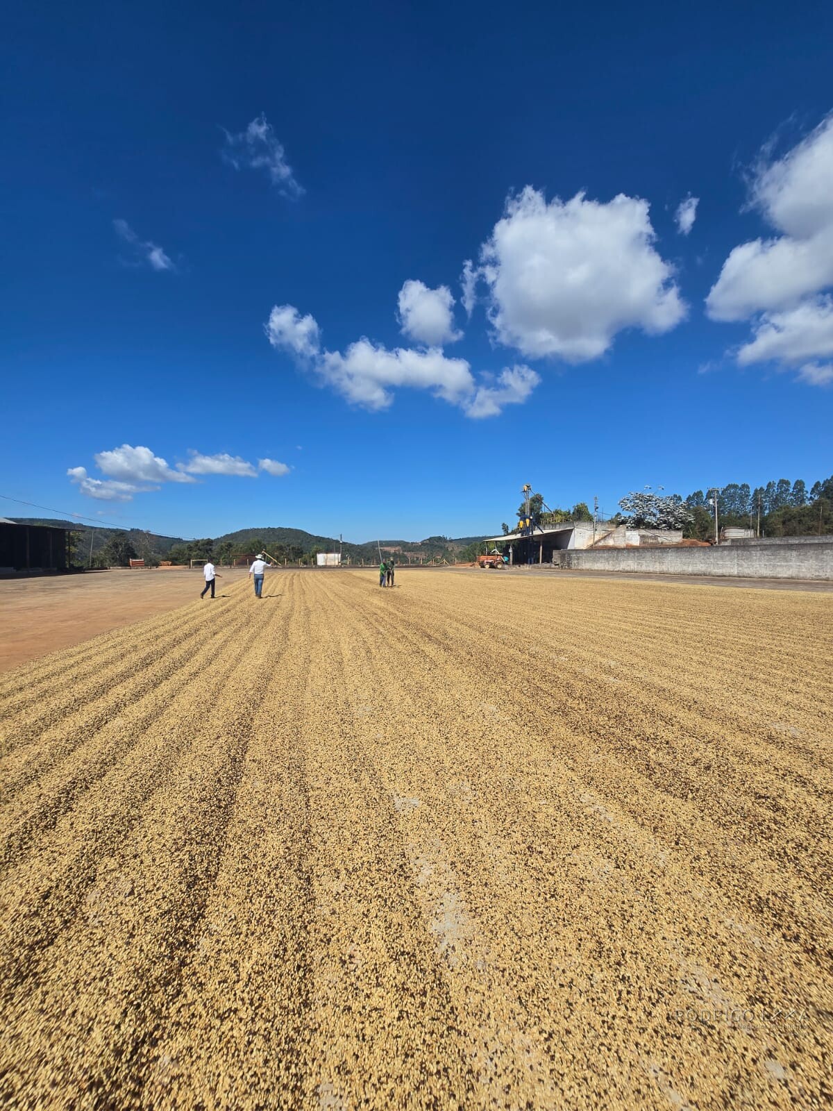 Fazenda para venda na região de Capelinha MG