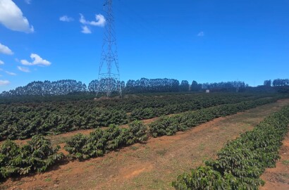 Fazenda para venda na região de Capelinha MG