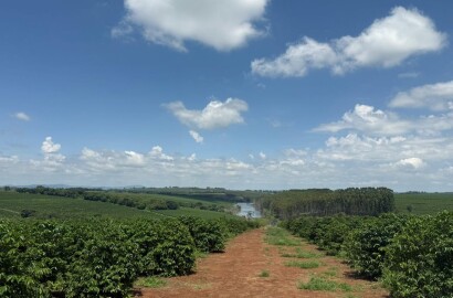 Fazenda para venda em Machado MG
