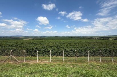 Fazenda para venda em Machado MG