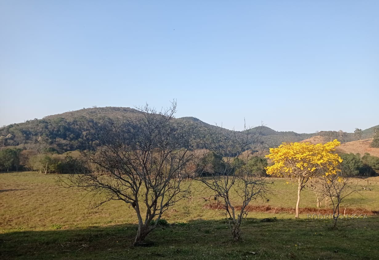 Fazenda para venda na região de  Carvalhos MG