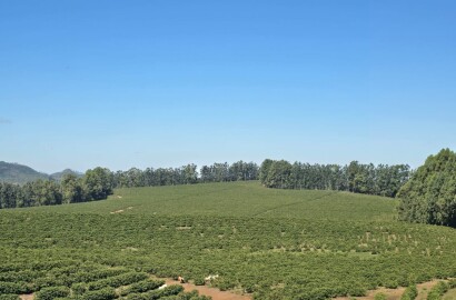 Fazenda para venda na região de Capelinha MG