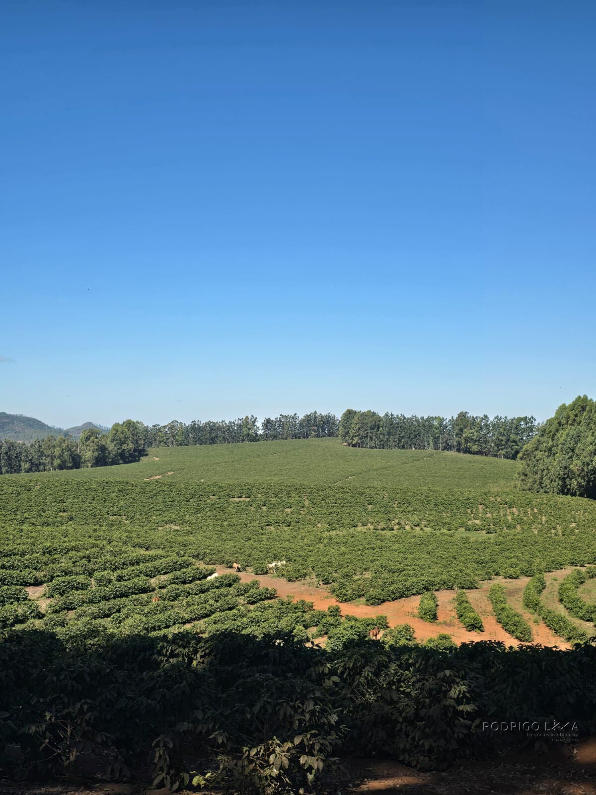 Fazenda para venda na região de Capelinha MG