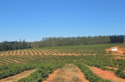 Fazenda para venda na região de Capelinha MG