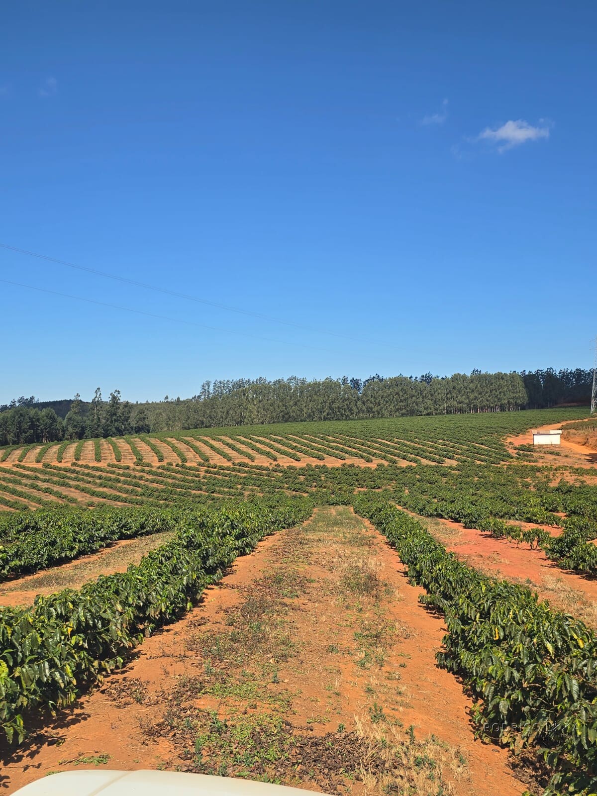 Fazenda para venda na região de Capelinha MG