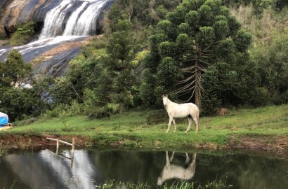 Fazenda para venda na região de  Carvalhos MG