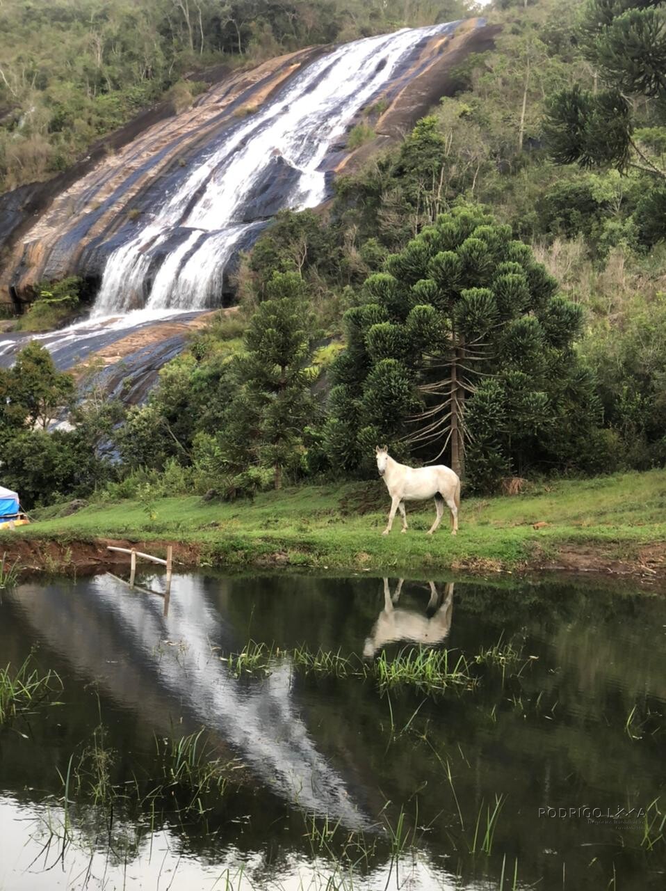 Fazenda para venda na região de  Carvalhos MG