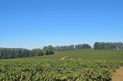 Fazenda para venda na região de Capelinha MG