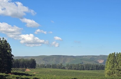 Fazenda para venda na região de Capelinha MG