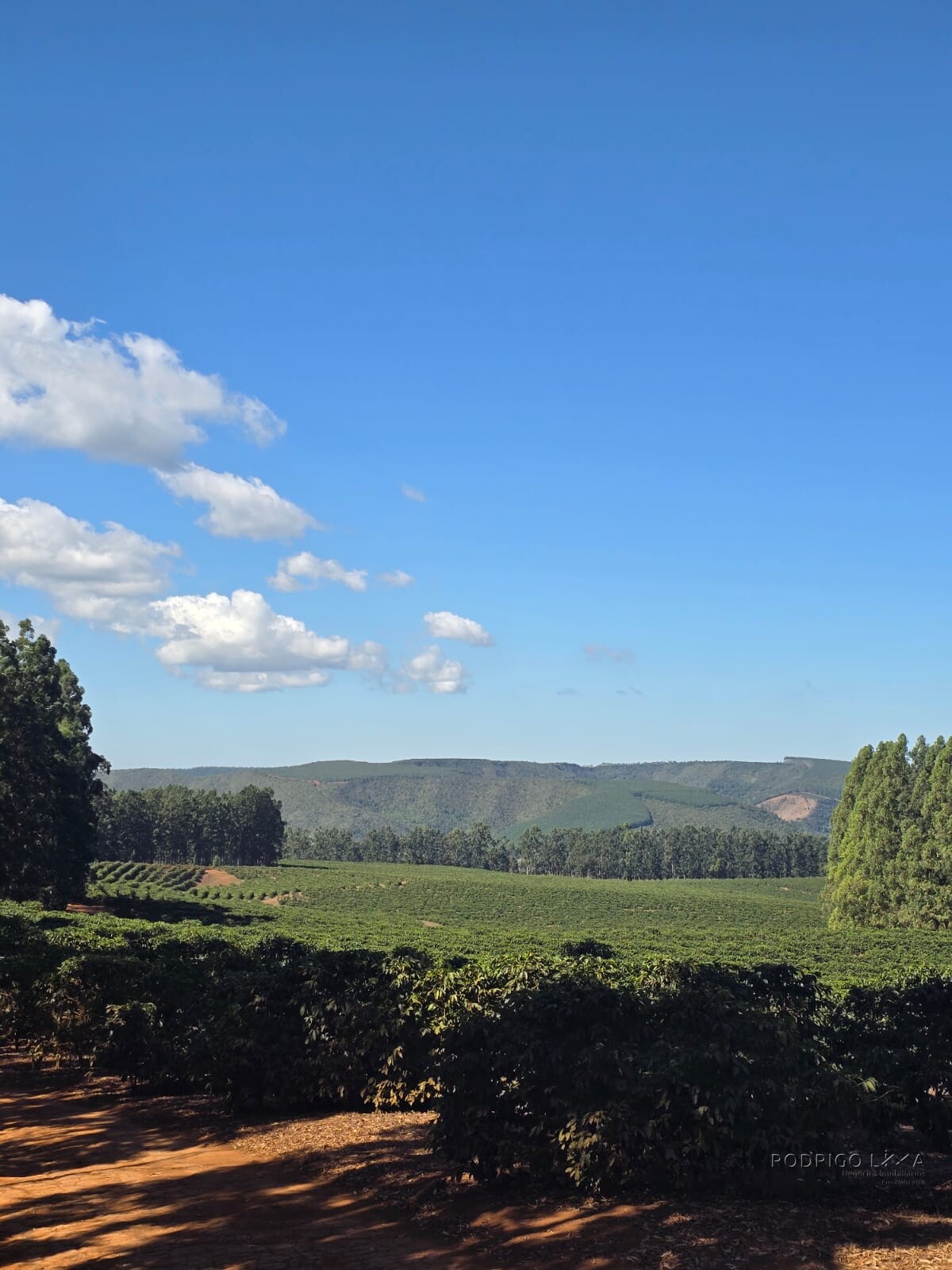 Fazenda para venda na região de Capelinha MG