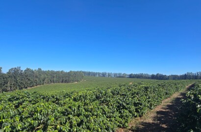 Fazenda para venda na região de Capelinha MG