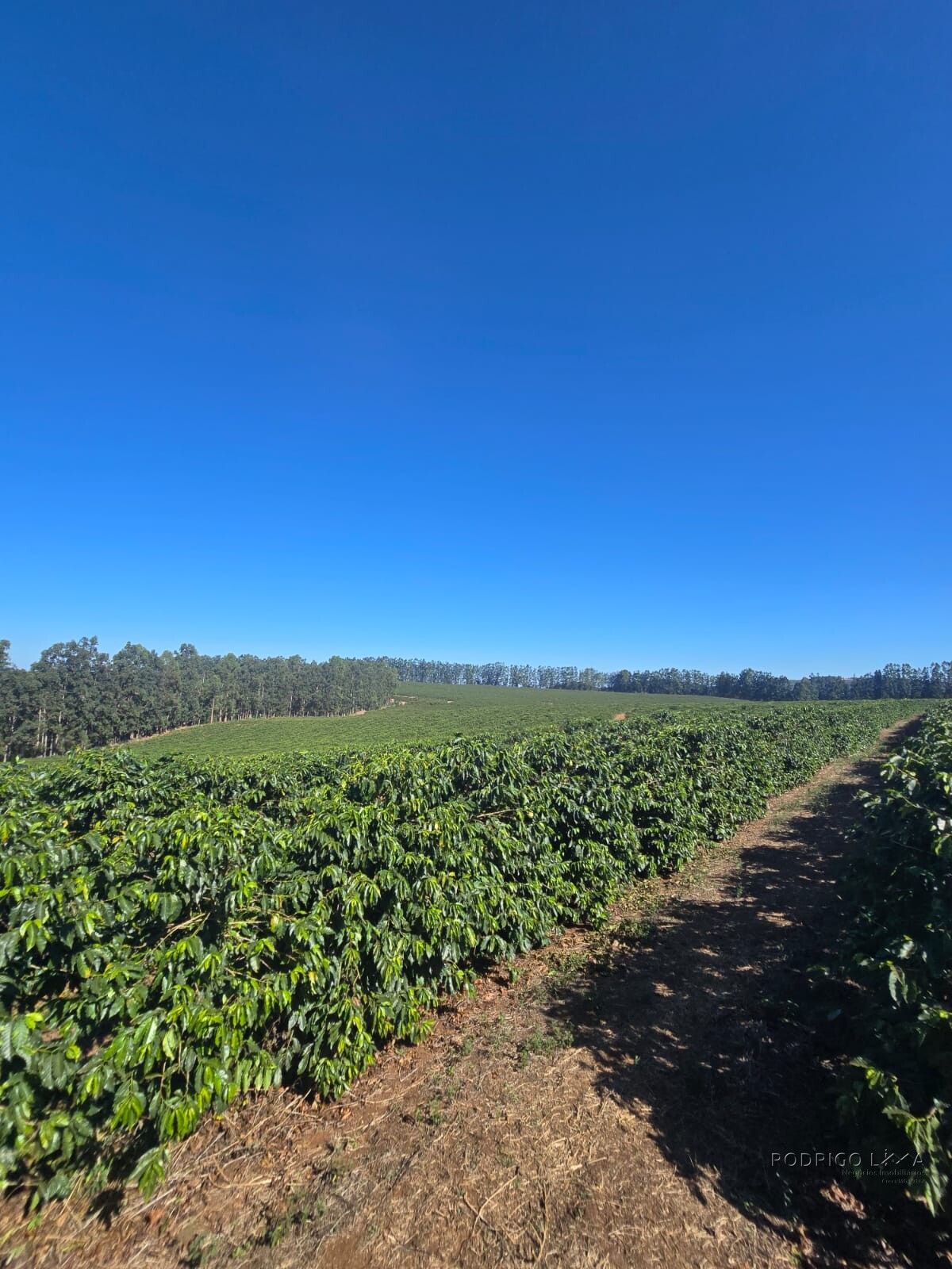Fazenda para venda na região de Capelinha MG