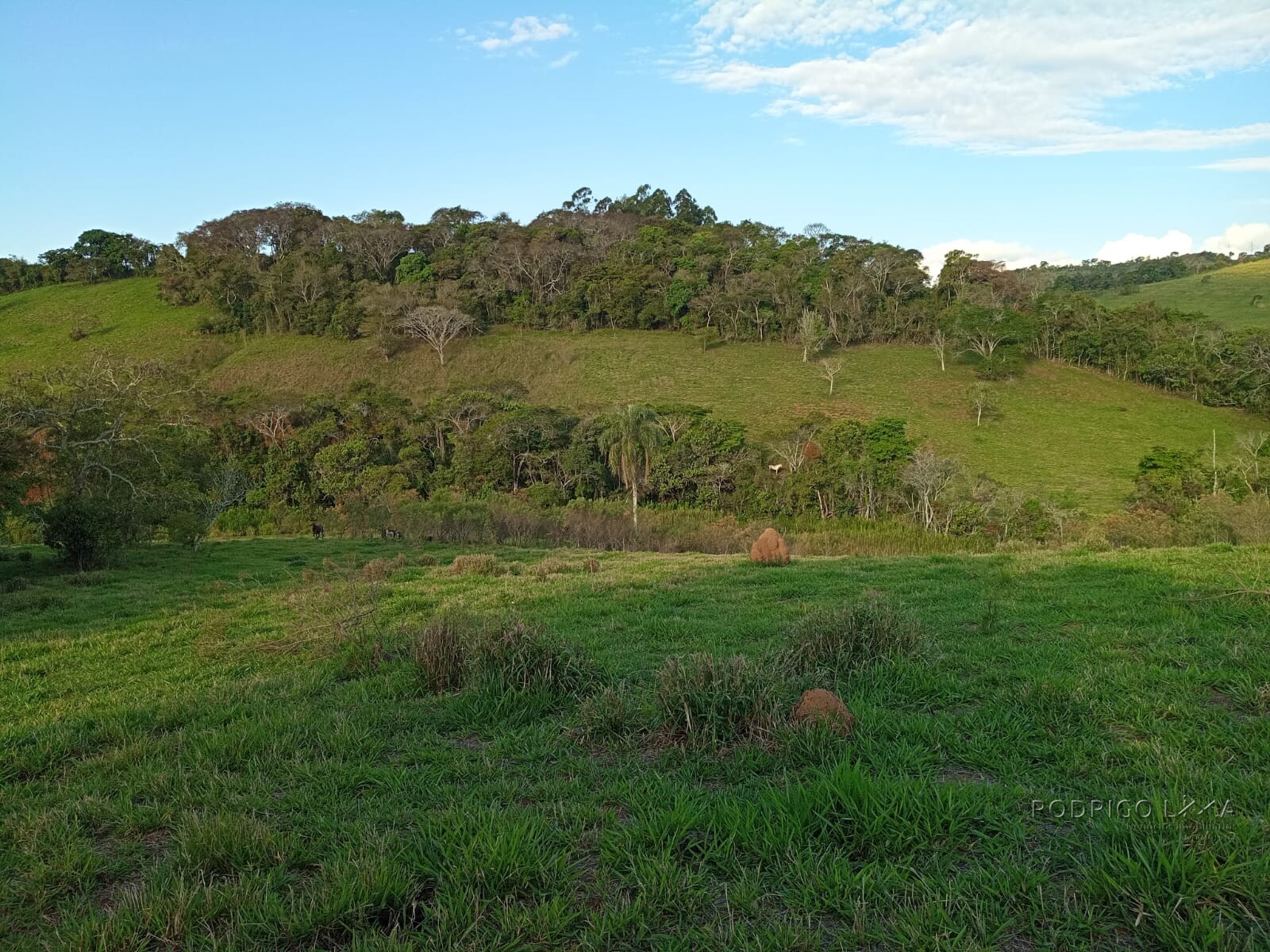 Área rural para venda próximo a São Lourenço MG