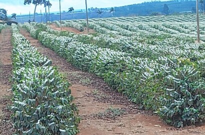 Fazenda para venda na região de Capelinha MG
