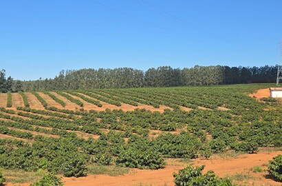 Fazenda para venda na região de Capelinha MG