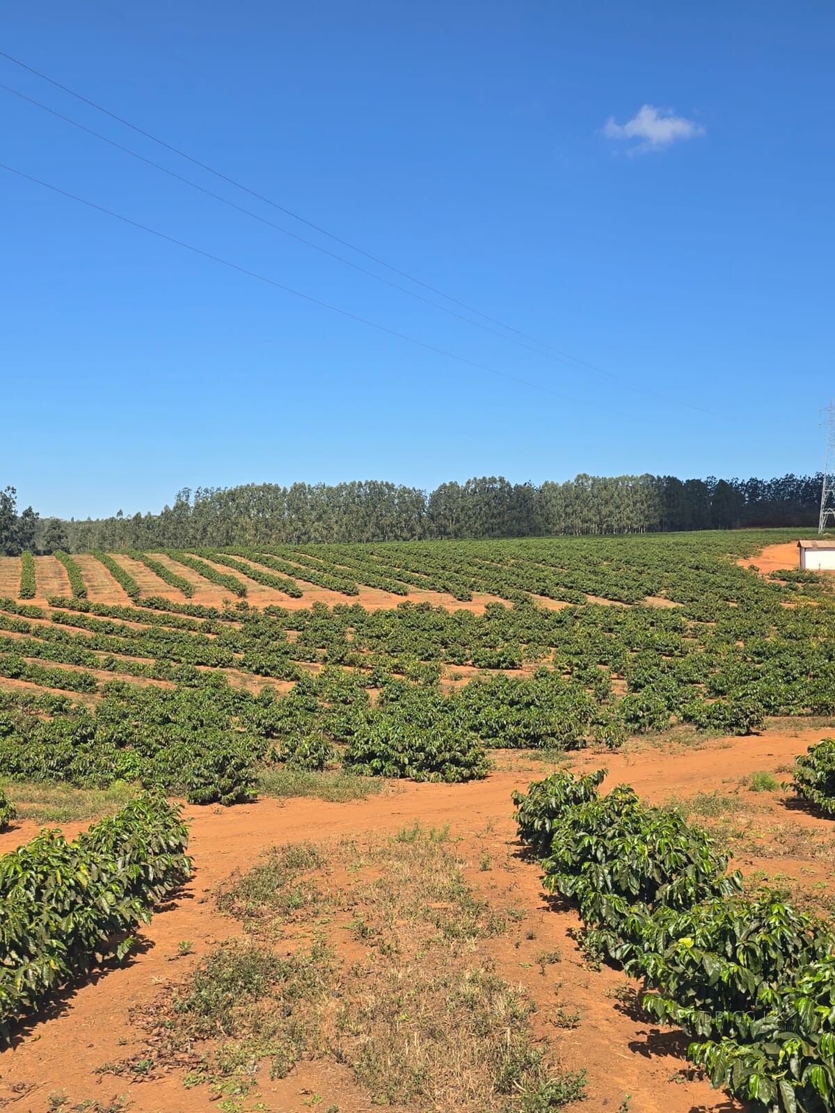 Fazenda para venda na região de Capelinha MG